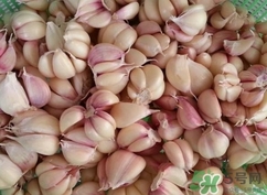新蒜頭能曬干嗎？新鮮蒜頭曬干要多久