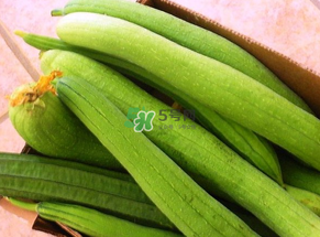 7月份吃什么蔬菜？七月份吃什么蔬菜？
