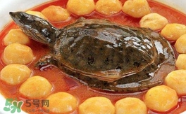 喝甲魚湯有什么好處？甲魚湯的功效與作用
