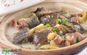 甲魚湯孕婦能喝嗎？甲魚湯孕婦可以喝嗎