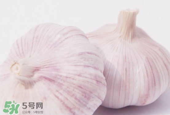 新蒜頭多少錢一斤2017？新蒜頭市場(chǎng)價(jià)格