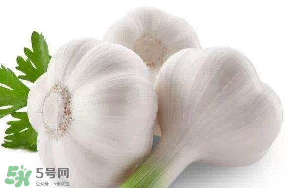新蒜頭多少錢一斤2017？新蒜頭市場(chǎng)價(jià)格