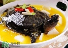 甲魚湯孕婦能喝嗎？甲魚湯孕婦可以喝嗎