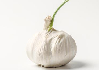 新蒜頭怎么保存不發(fā)芽？新蒜頭怎么存放