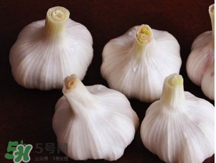新蒜頭怎么弄成老蒜頭？新蒜頭和老蒜頭的區(qū)別