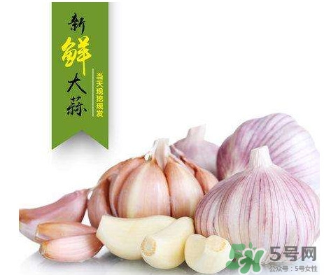 新蒜頭什么時(shí)候上市？新蒜頭幾月份上市