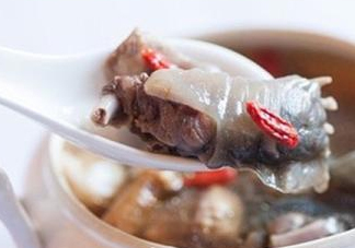 甲魚湯怎么做？甲魚湯的做法
