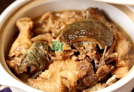 甲魚怎么做好吃？甲魚怎樣做最好吃