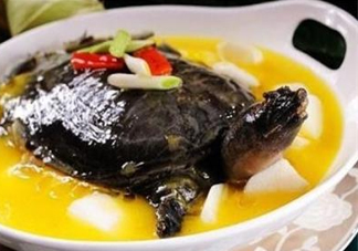 甲魚不能和什么一起吃？甲魚不能跟什么食物一起吃