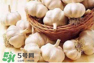 新蒜頭怎么保存不發(fā)芽？新蒜頭怎么存放