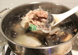 甲魚湯怎么做？甲魚湯的做法