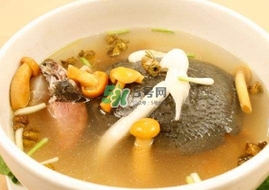 甲魚不能和什么一起吃？甲魚不能跟什么食物一起吃