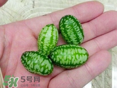 迷你西瓜能生吃嗎？迷你西瓜怎么吃