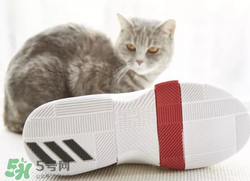 adidas dame3上腳怎么樣？阿迪達(dá)斯利拉德三代測評