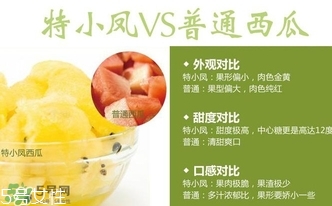 特小鳳西瓜孕婦能吃嗎？特小鳳西瓜孕婦可以吃嗎