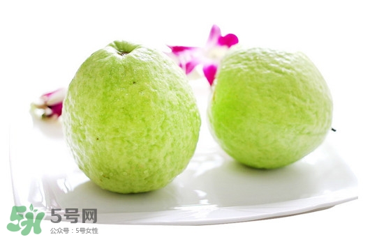 番石榴什么時(shí)候吃最好？番石榴什么季節(jié)吃最好