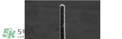 熊野巨匠小熊筆怎么用？熊野巨匠小熊去黑頭筆使用方法