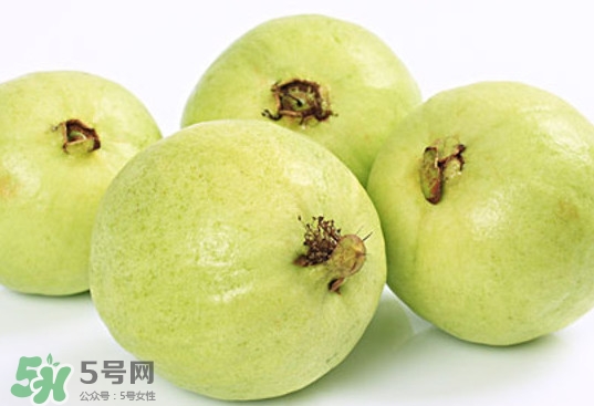 番石榴什么時候成熟？番石榴什么時候上市