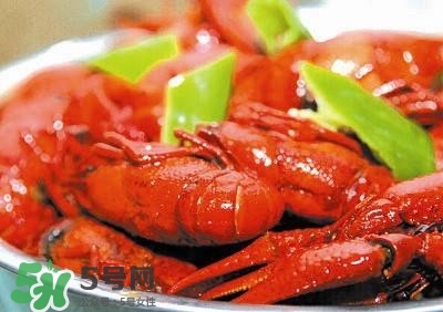 蝦黃孕婦能吃嗎？蝦黃在哪個位置圖解