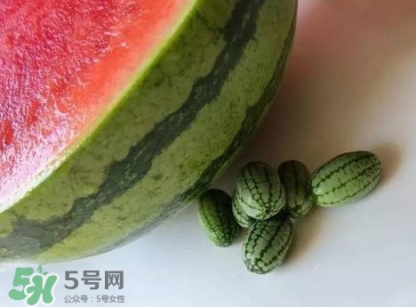 迷你西瓜是轉(zhuǎn)基因水果嗎？迷你西瓜是不是轉(zhuǎn)基因？