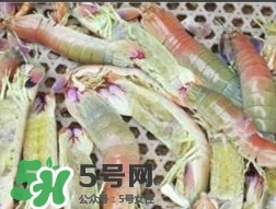 蝦黃孕婦能吃嗎？蝦黃在哪個位置圖解