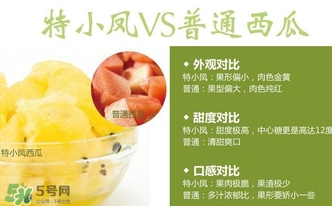 特小鳳西瓜多少錢一斤2017？特小鳳西瓜價(jià)格