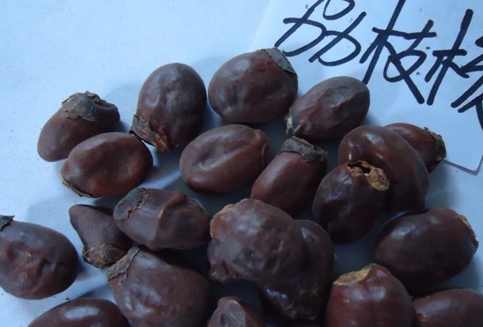 荔枝核有毒嗎？荔枝核能吃嗎