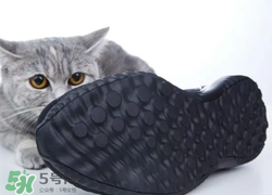 adidas alphabounce上腳怎么樣？阿迪達(dá)斯阿爾法小椰子測評(píng)