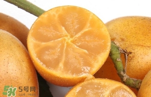 黃皮果怎么保存？黃皮果如何保存