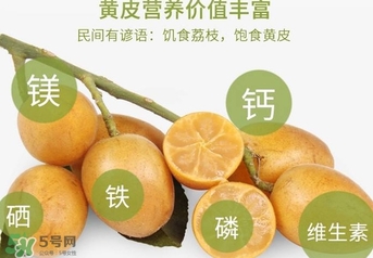 如何種植黃皮果？黃皮果怎么種植？