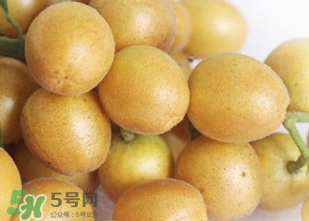 雞心黃皮幾年才掛果？雞心黃皮如何種植管理