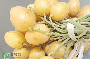 黃皮果多少錢一斤2017？黃皮果價格