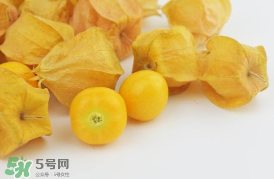 姑娘果是寒性嗎？姑娘果是涼性還是熱性？