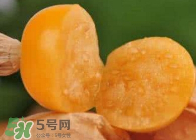 姑娘果是寒性嗎？姑娘果是涼性還是熱性？