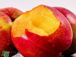 油桃怎么保存不會(huì)變軟？油桃怎么保存時(shí)間長(zhǎng)？
