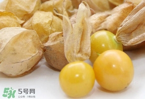 姑娘果什么時候成熟？姑娘果什么時候上市
