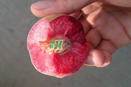 血桃多少錢(qián)一斤2017？血桃哪個(gè)品種最好吃
