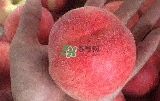 紅不軟桃?guī)自路莩墒?？紅不軟桃什么時(shí)候成熟