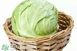 圓白菜是包菜嗎？圓白菜是大頭菜嗎？