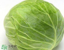 圓白菜是什么菜？圓白菜能生吃嗎？