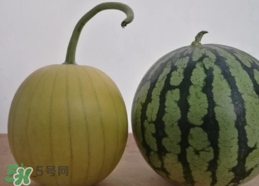 四色瓤西瓜是轉(zhuǎn)基因嗎？四色瓤西瓜是不是轉(zhuǎn)基因？