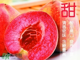 血桃?guī)自鲁墒?？血桃有什么營(yíng)養(yǎng)價(jià)值