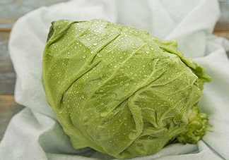 圓白菜是包菜嗎？圓白菜是大頭菜嗎？
