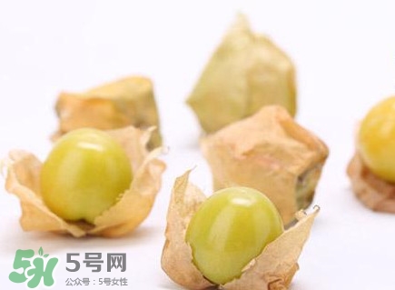 姑娘果什么時候成熟？姑娘果什么時候上市