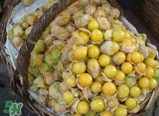 花姑娘水果怎么吃？花姑娘水果吃之前要洗嗎？