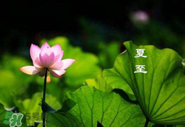 2017年夏至?xí)掠陠幔肯闹料掠暧惺裁凑f(shuō)法？