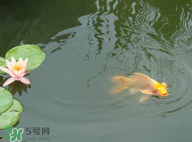 2017年夏至?xí)掠陠幔肯闹料掠暧惺裁凑f(shuō)法？