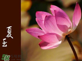 2017年夏至?xí)掠陠?？夏至下雨有什么說(shuō)法？