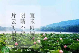 夏至是入伏嗎？夏至后多久入伏？