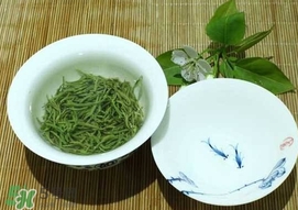 如何鑒別信陽(yáng)毛尖好壞？信陽(yáng)毛尖品鑒十步法